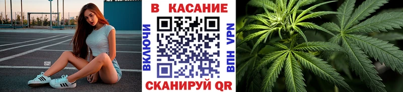 Где купить наркотики Жердевка Alpha-PVP  Cocaine  Меф  Псилоцибиновые грибы  Codein  ГАШИШ 