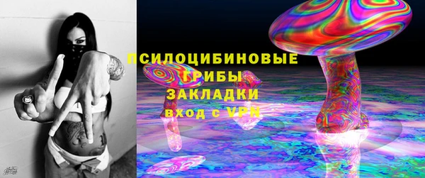крисы Абдулино
